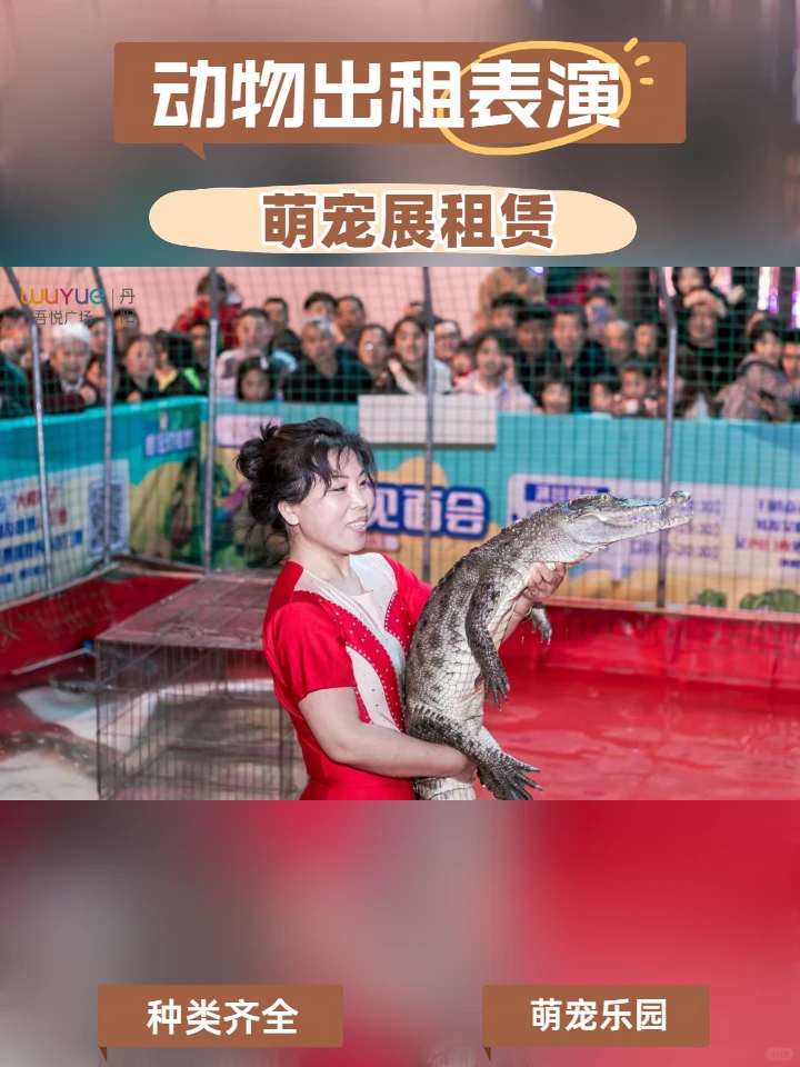 东方商业活动海狮表演美食节