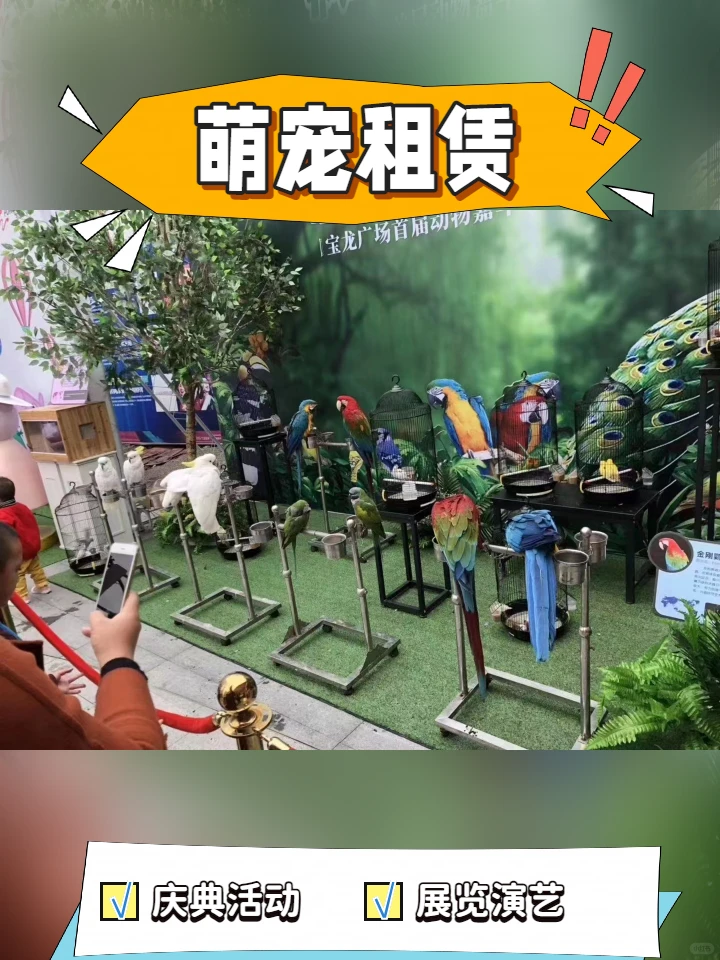 西双版纳旅游景点开放海狮表演节日租赁