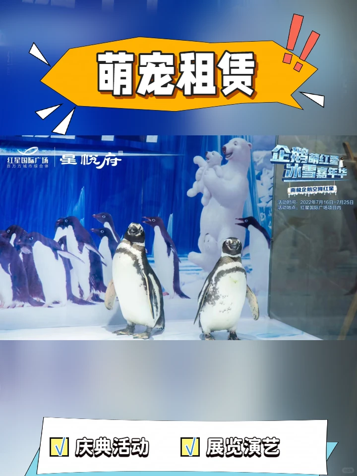 西双版纳旅游景点开放海狮表演节日租赁