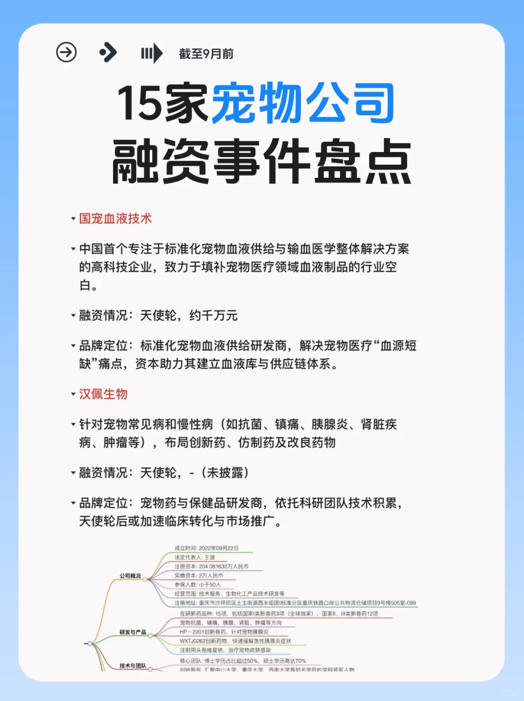 宠物赛道逆势吸金！15家公司融资事件盘点