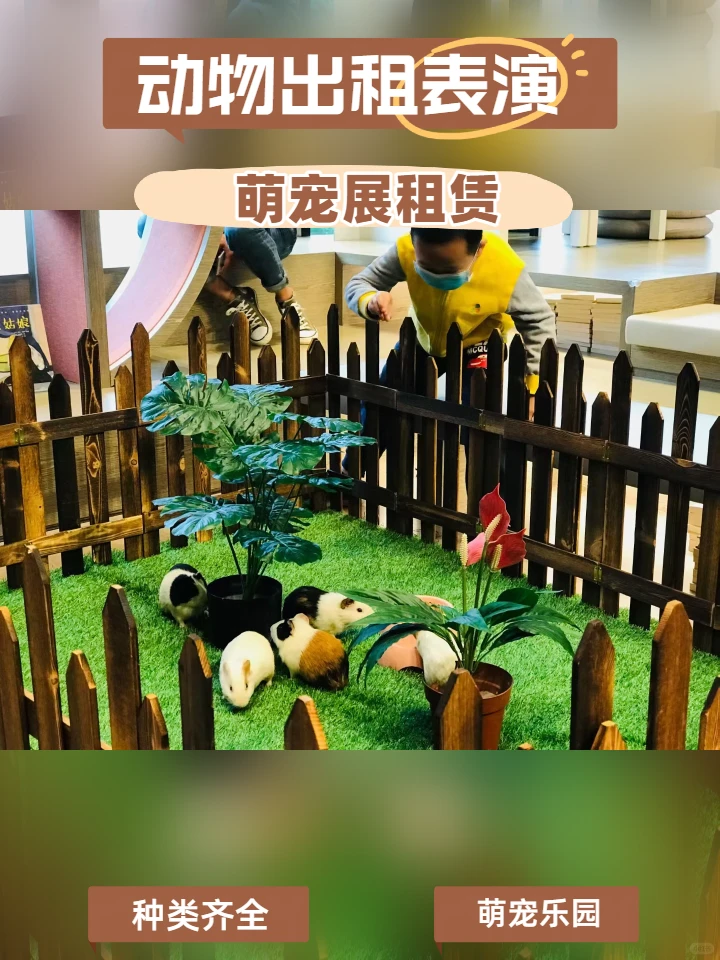 保山展览演艺水母展览租赁