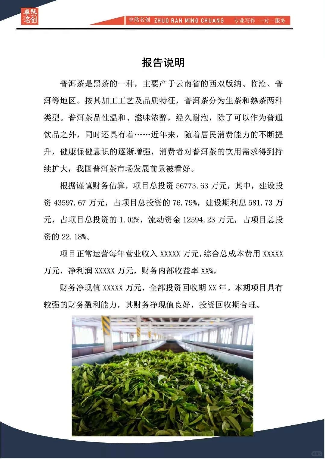 投资建厂‖大额融资可行性分析报告编制