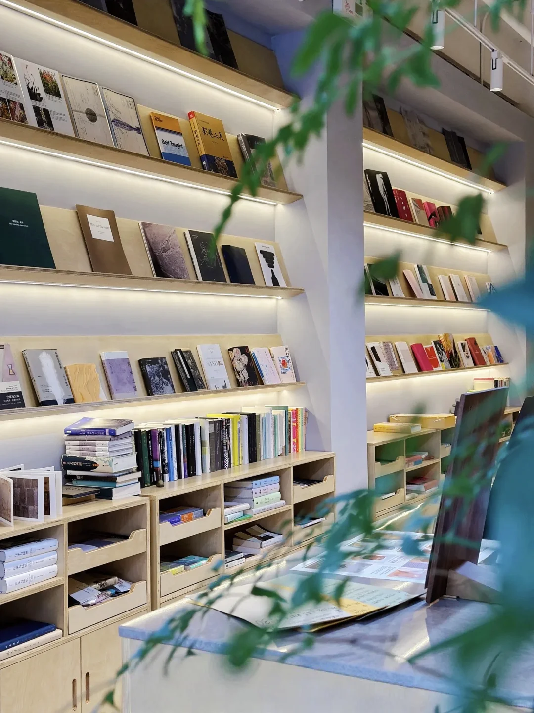 女性成长赛道 终于理解为什么很多博主停更