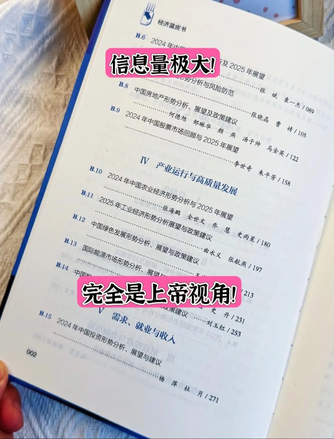 吃透这本蓝皮书，2025搞钱不迷路！！！