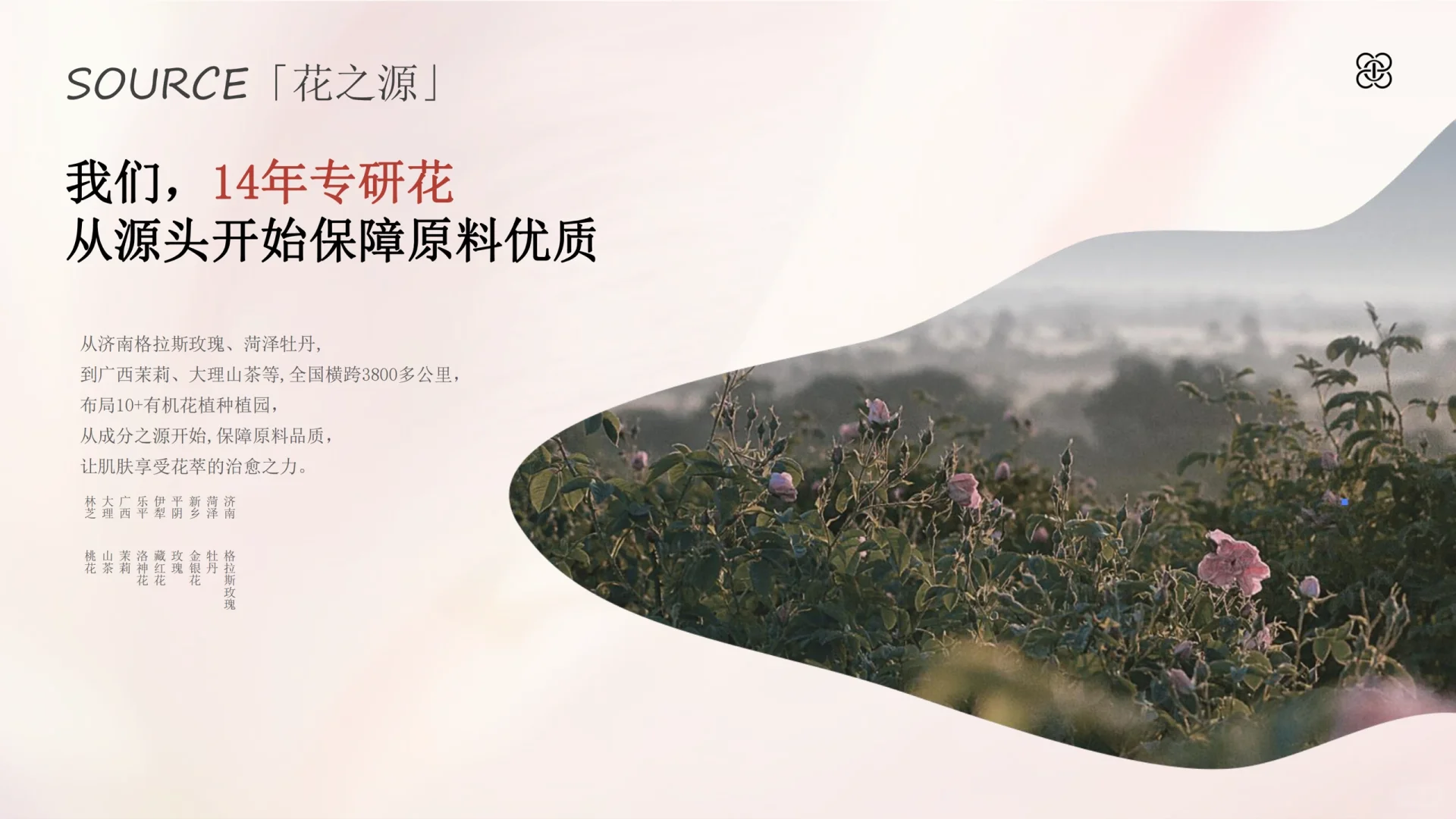 半亩花田品牌手册