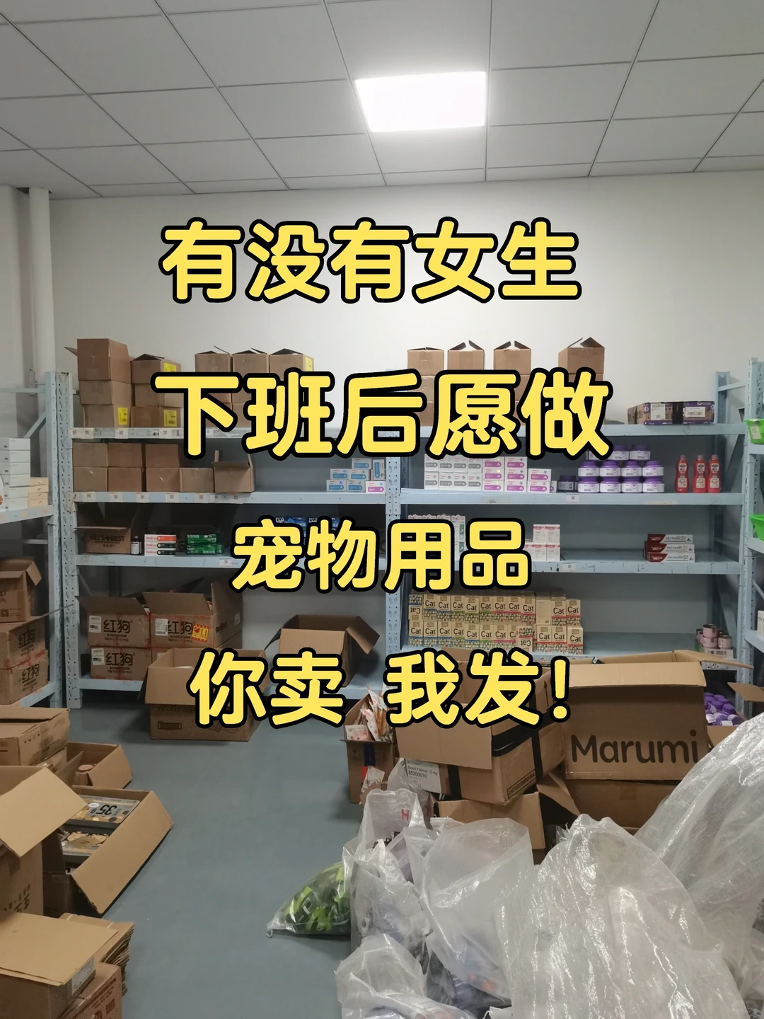 风口赛道宠物用品！