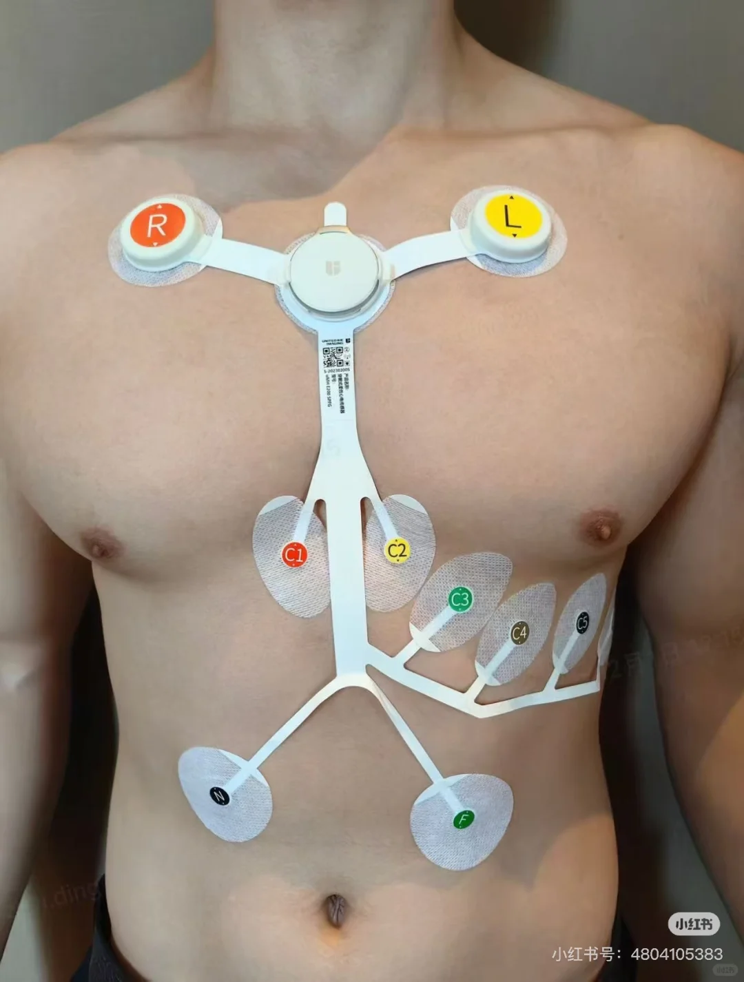 分享一个助力研究生发CNS的柔性电子公司