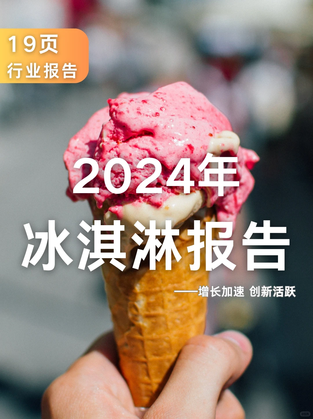 19页报告|2024年冰淇淋报告
