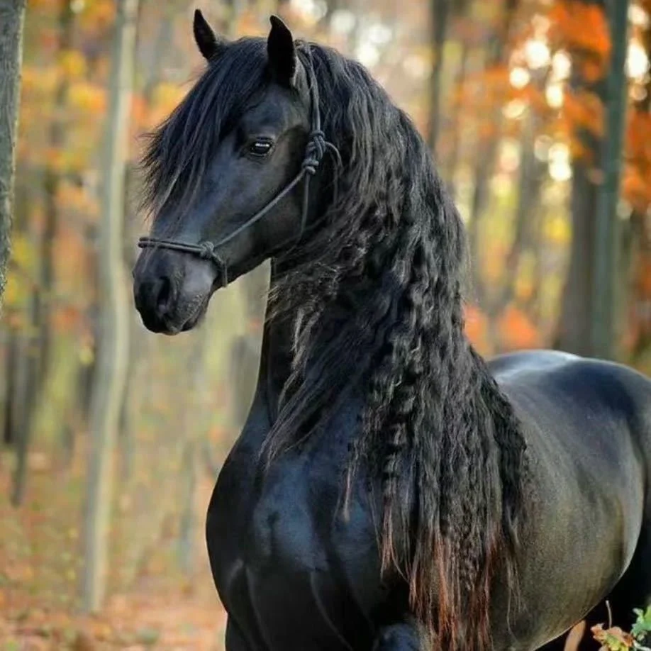 行业有周期，人无再少年