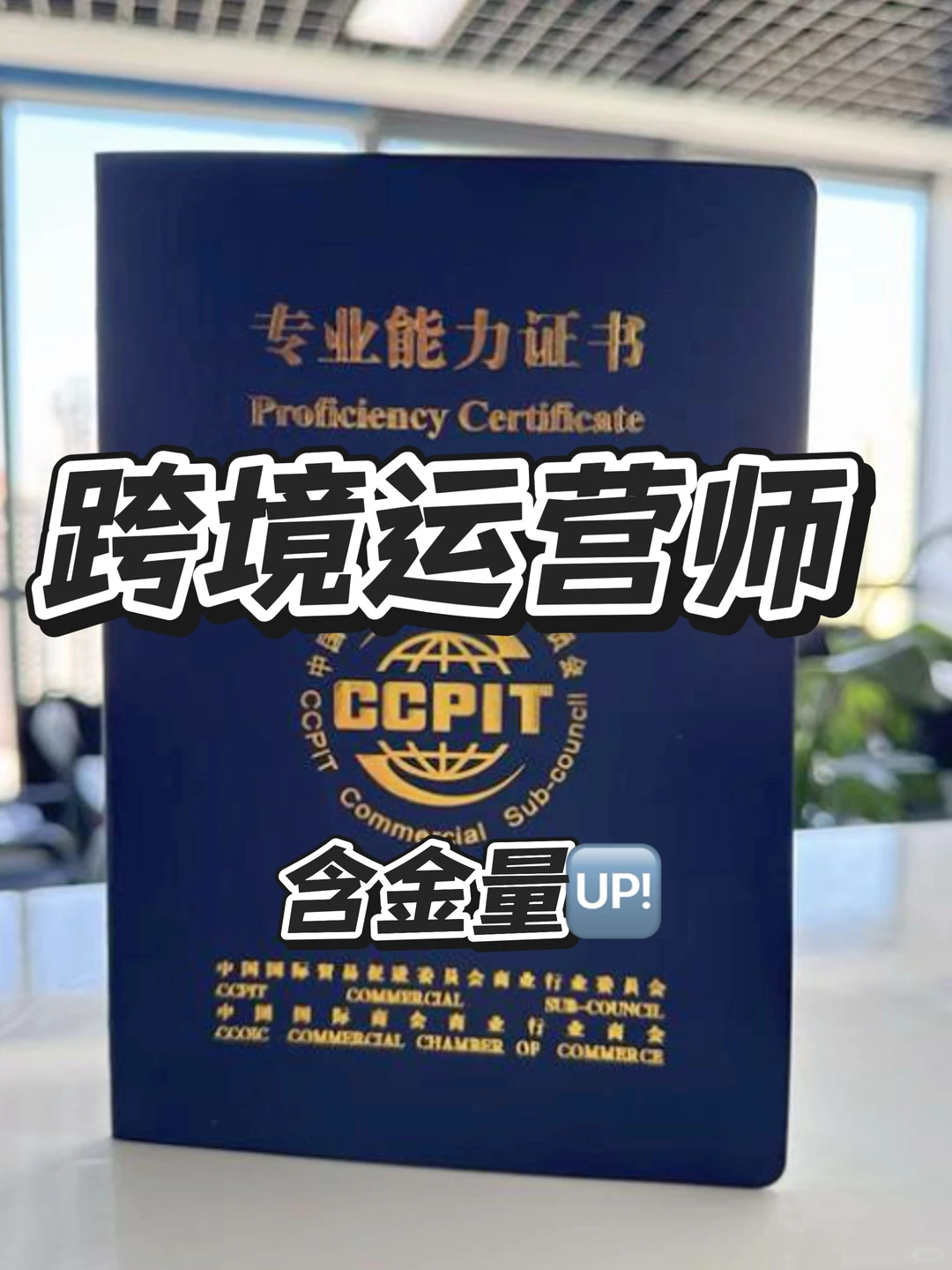 跨境运营圈又双叒爆大新闻！红利期已至？