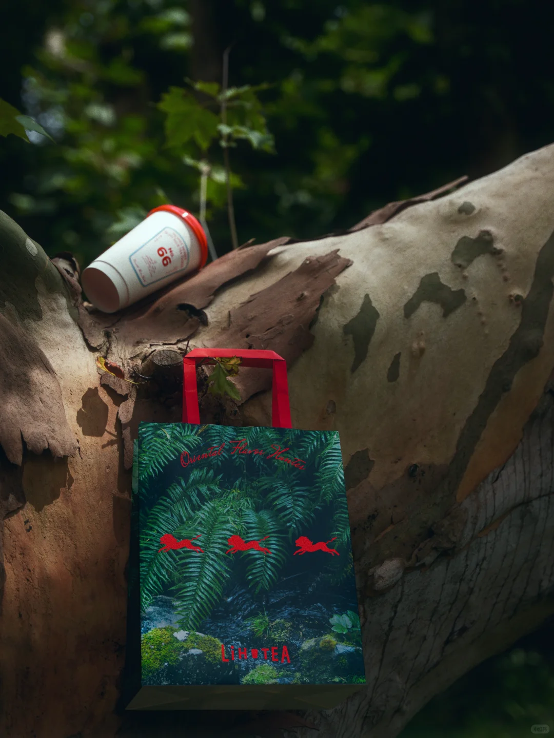 品牌重塑｜LiHO TEA