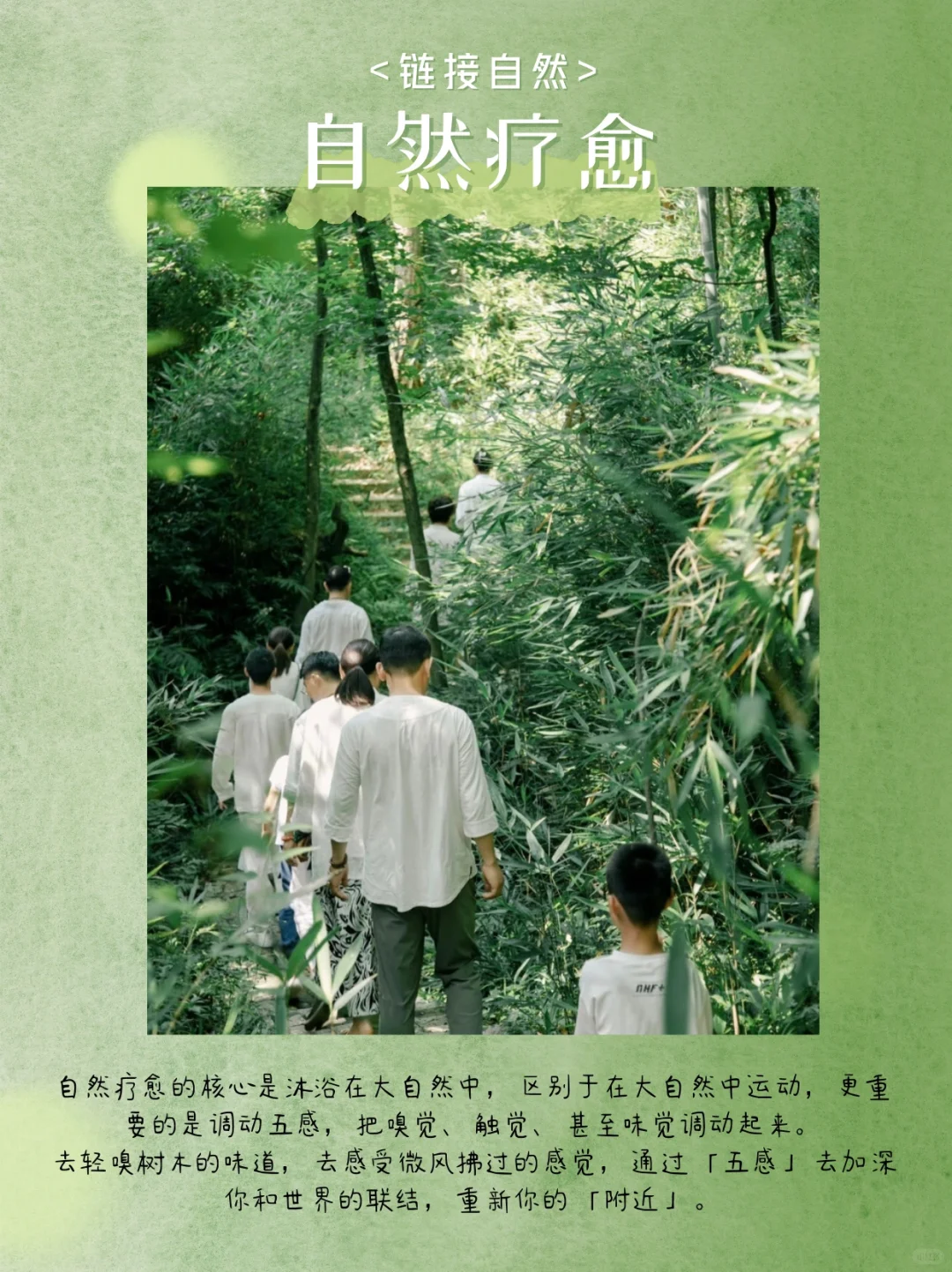 高管团建 | 一场疗愈之旅，解锁企业新动力