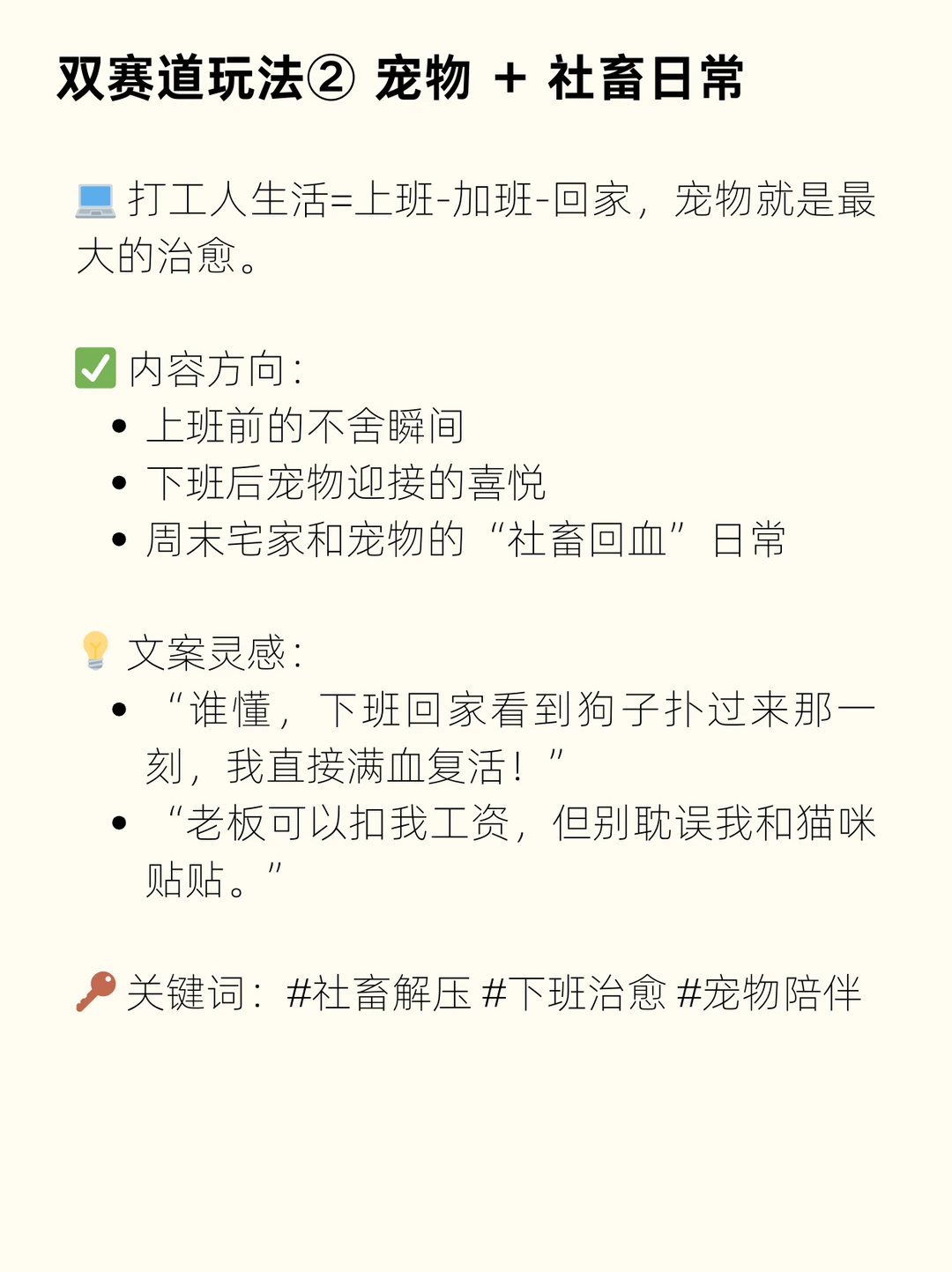 2025 宠物赛道涨粉机器：双赛道