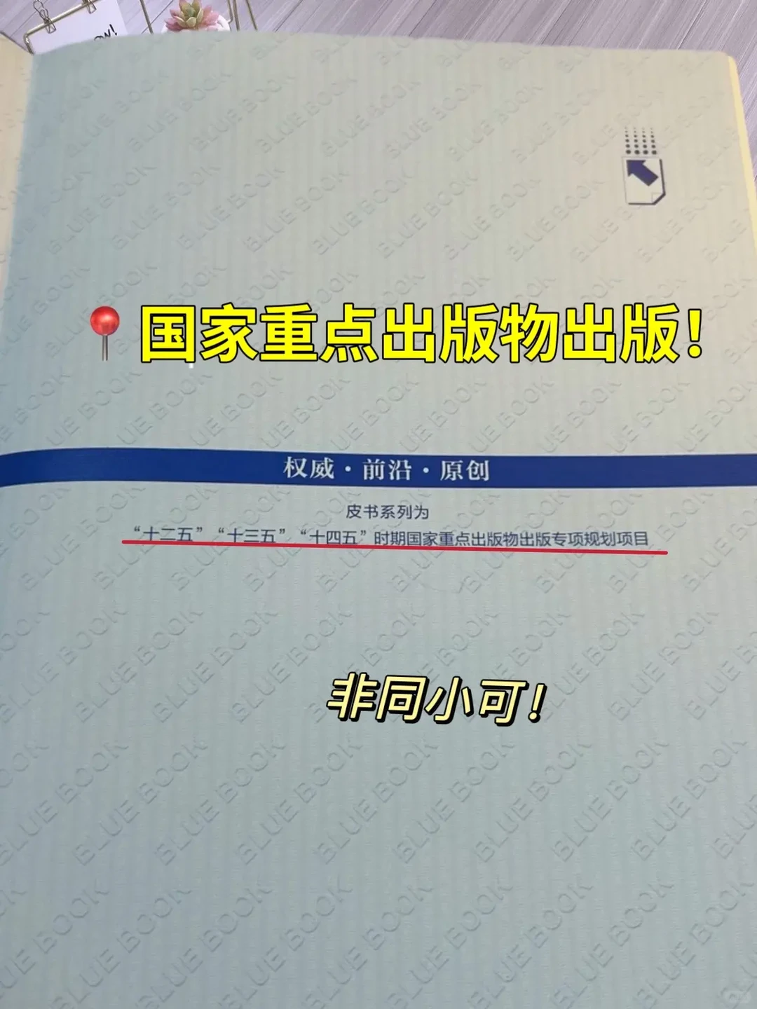 2025年中国经济蓝皮书出炉!干货满满！