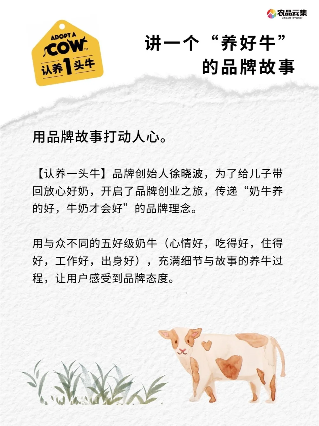 品牌营销案例分析｜认养一头牛
