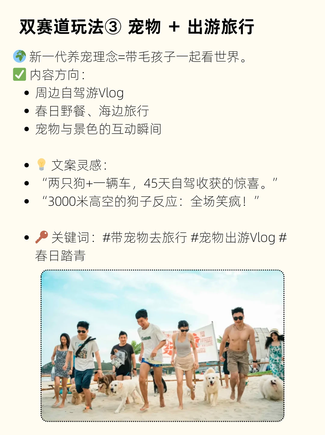 2025 宠物赛道涨粉机器：双赛道