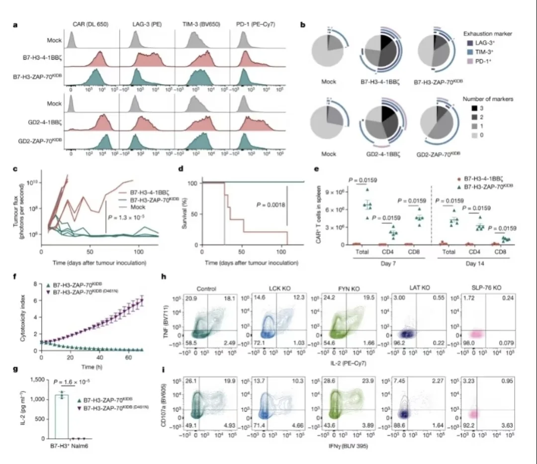 冲击顶刊,生命周期评价补做,教学