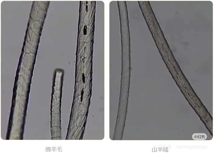 【?你买的羊绒披肩真的值这个价吗？SEM黑科