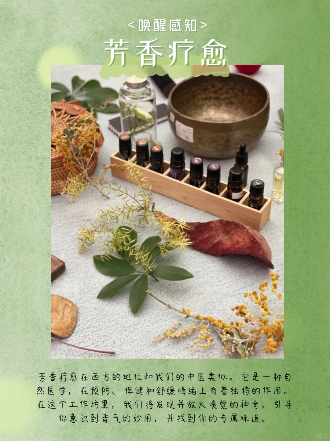 高管团建 | 一场疗愈之旅，解锁企业新动力