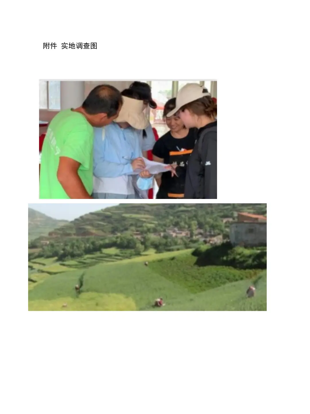 大学生社会调查报告——村集体经济发展情况