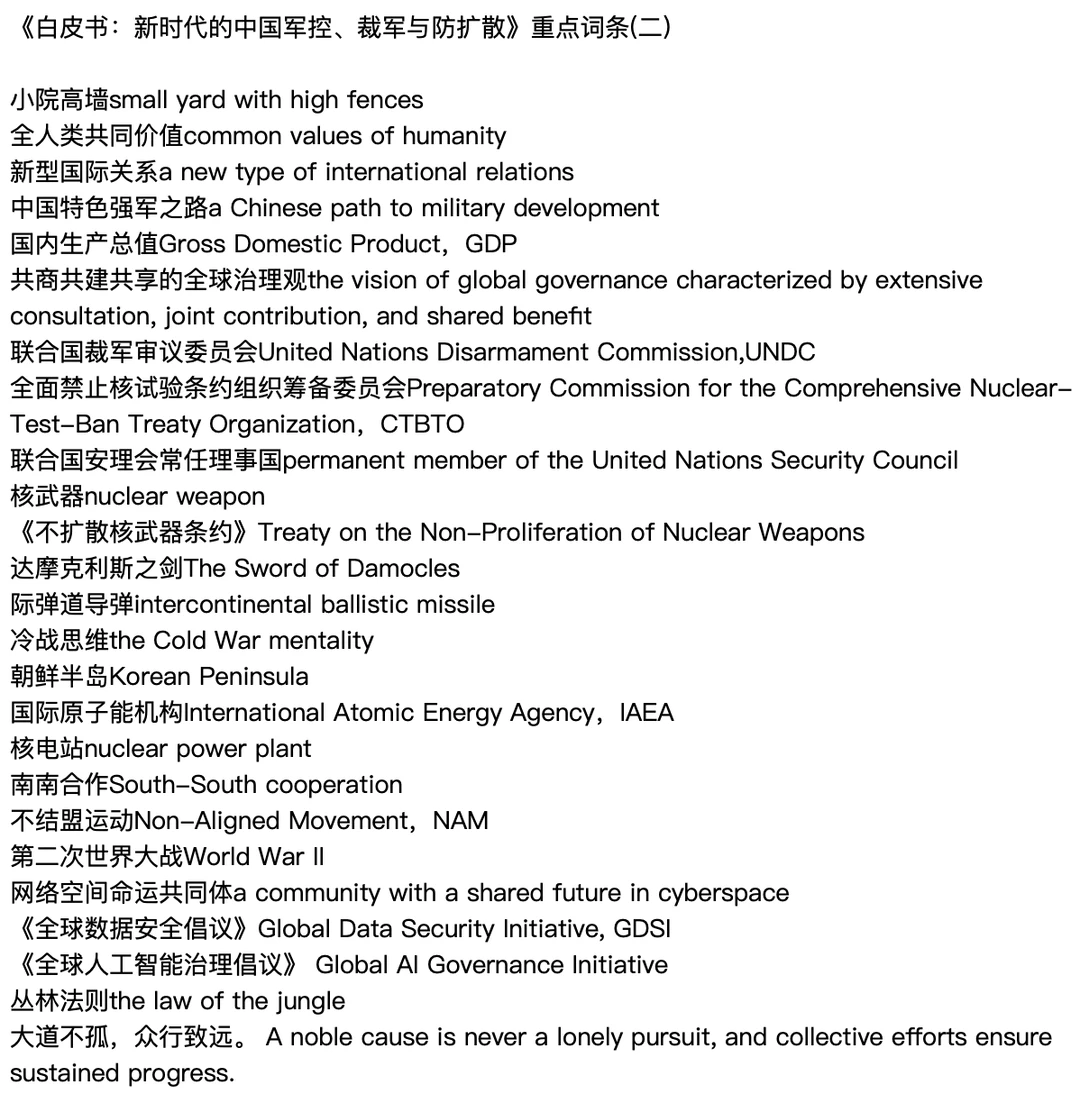 重点词条｜25年第九篇白皮书