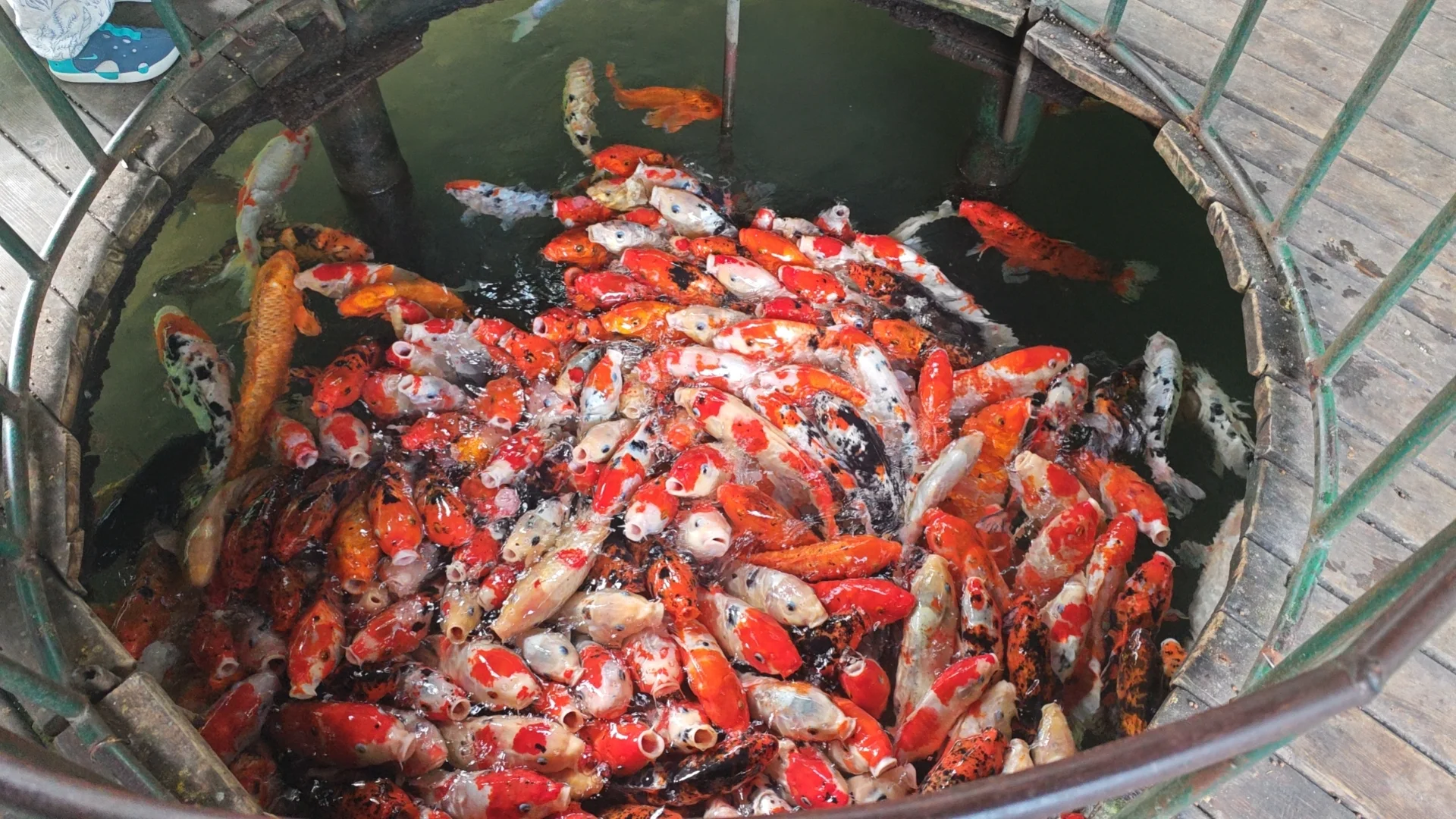 个人生活第一篇：股票推荐