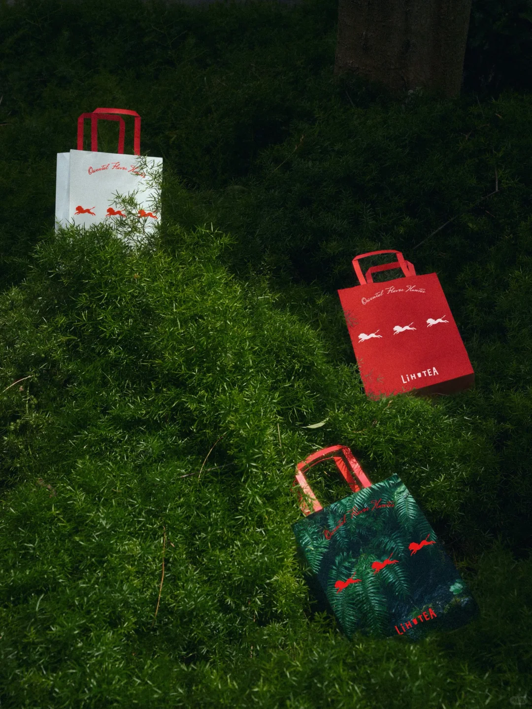 品牌重塑｜LiHO TEA