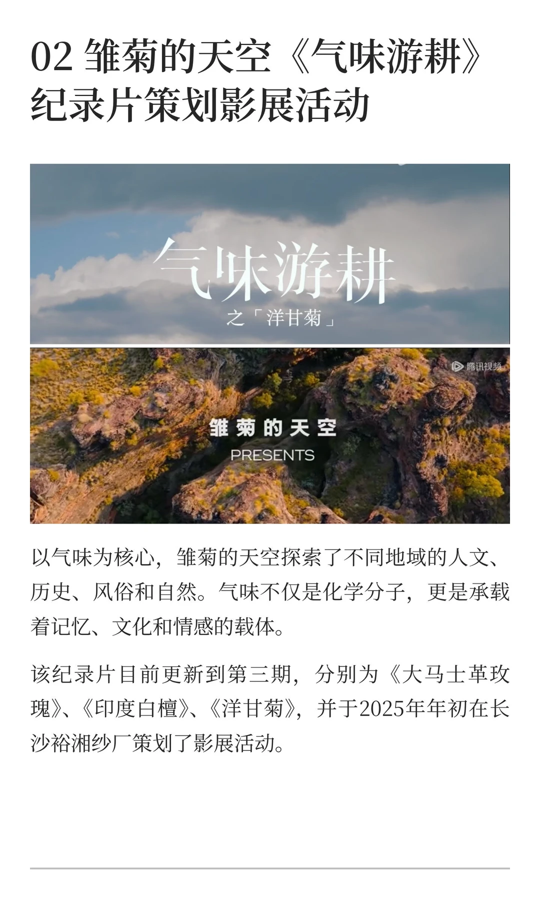 2025年品牌年度广告盘点