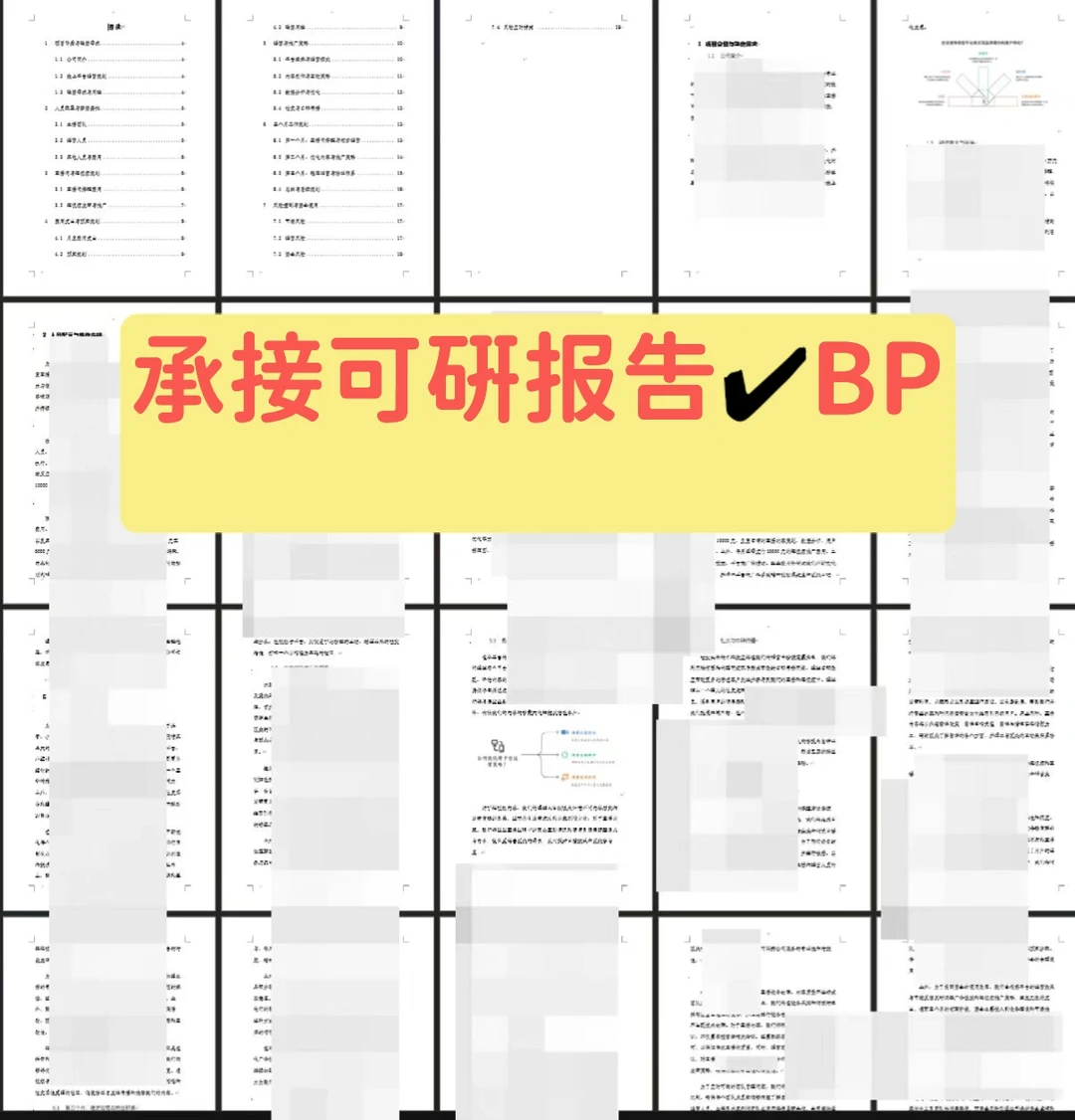 可研报告✔商业计划书定制?