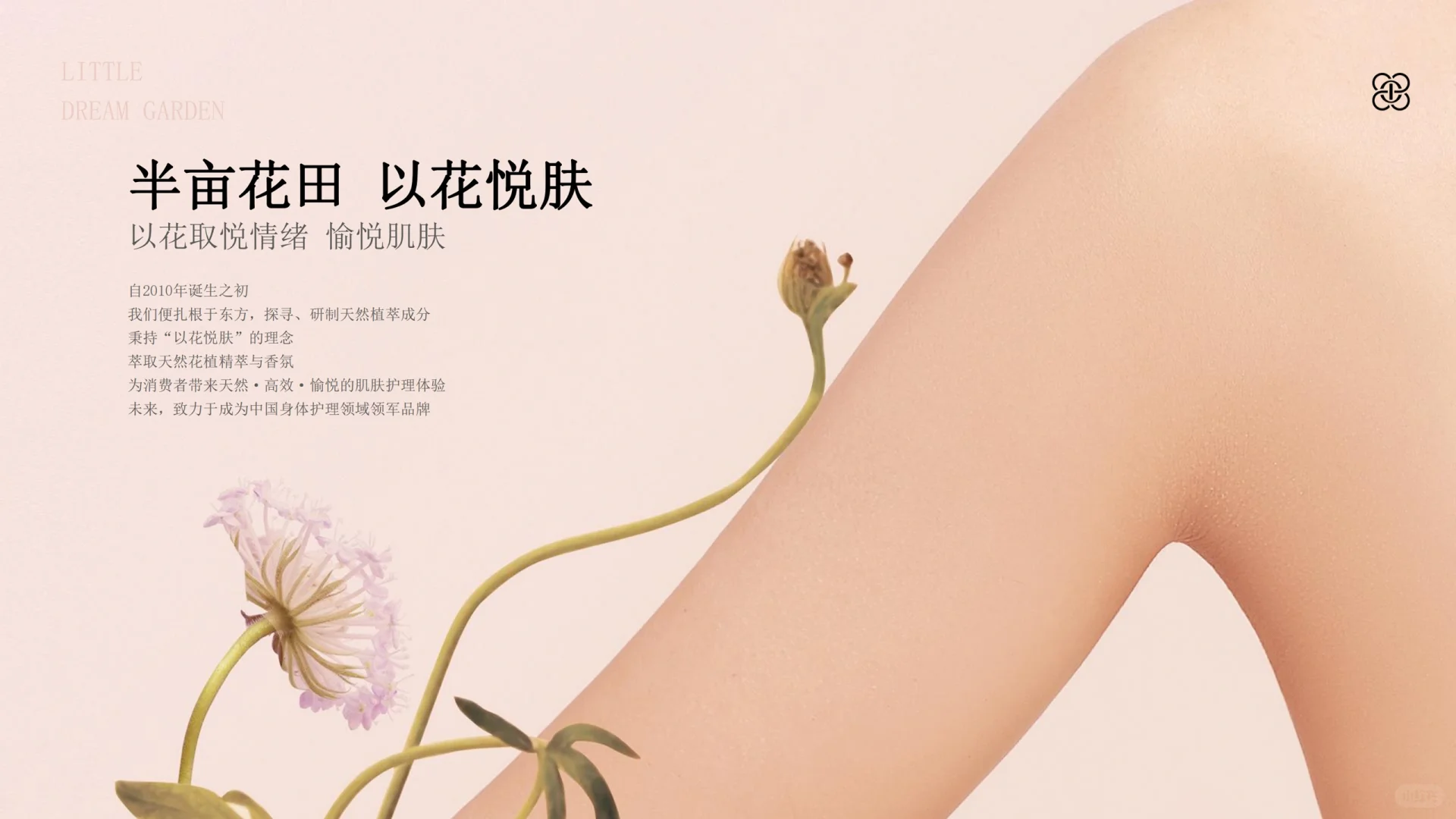 半亩花田品牌手册