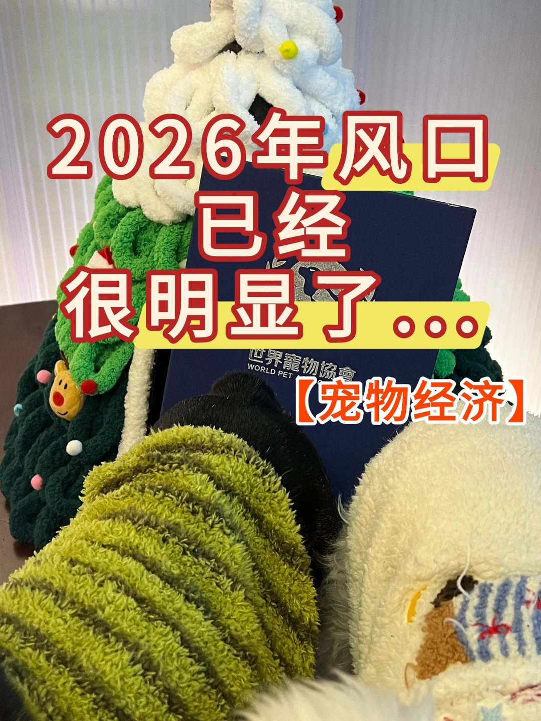 26年风口已经很明显了。。。。。