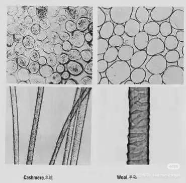 【?你买的羊绒披肩真的值这个价吗？SEM黑科