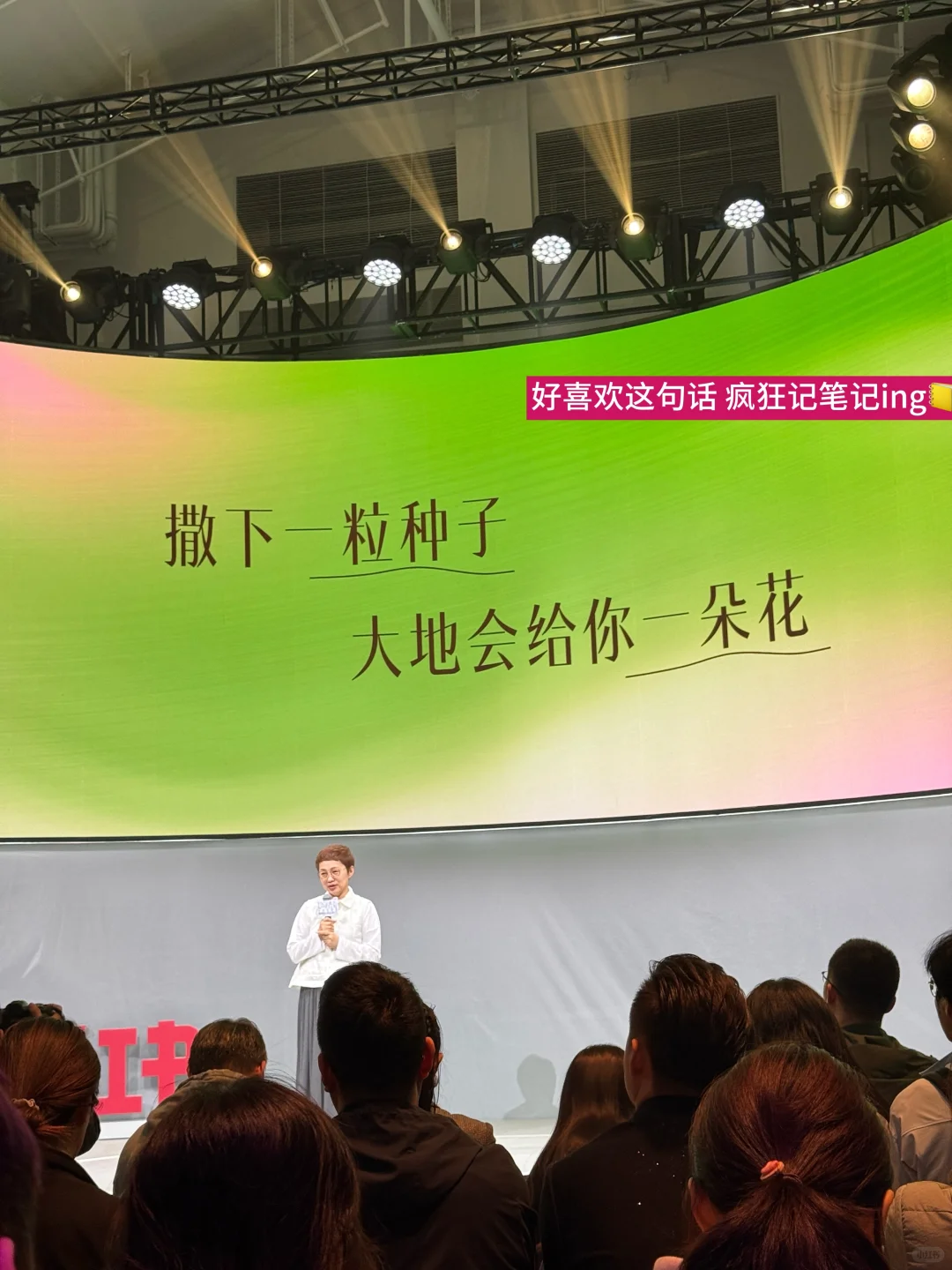 创业复盘01|“我就要做到行业的中心”