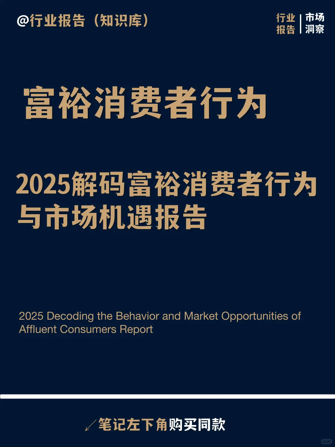 2025解码富裕消费者行为与市场机遇报告