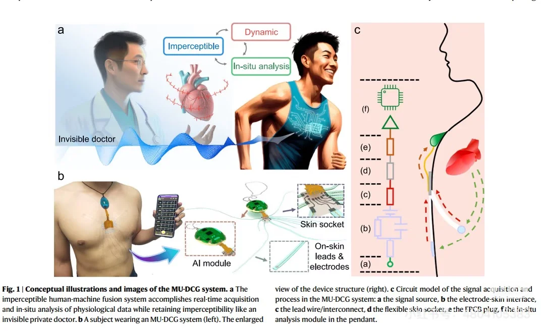 分享一个助力研究生发CNS的柔性电子公司