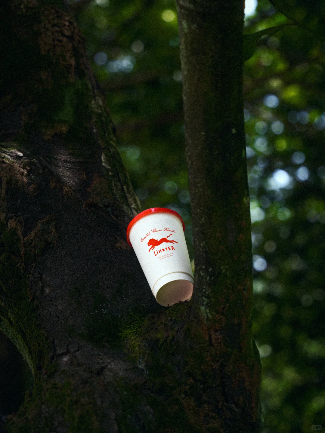 品牌重塑｜LiHO TEA