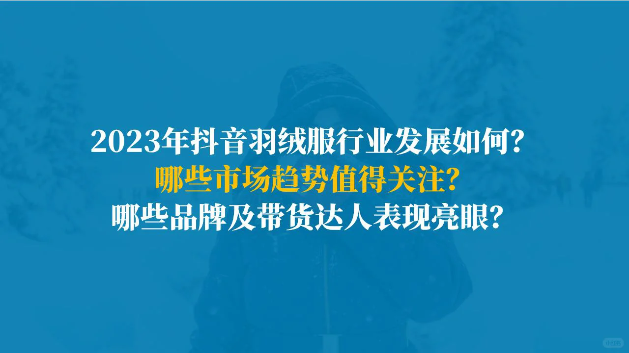 行业报告｜2023年羽绒服行业洞察报告