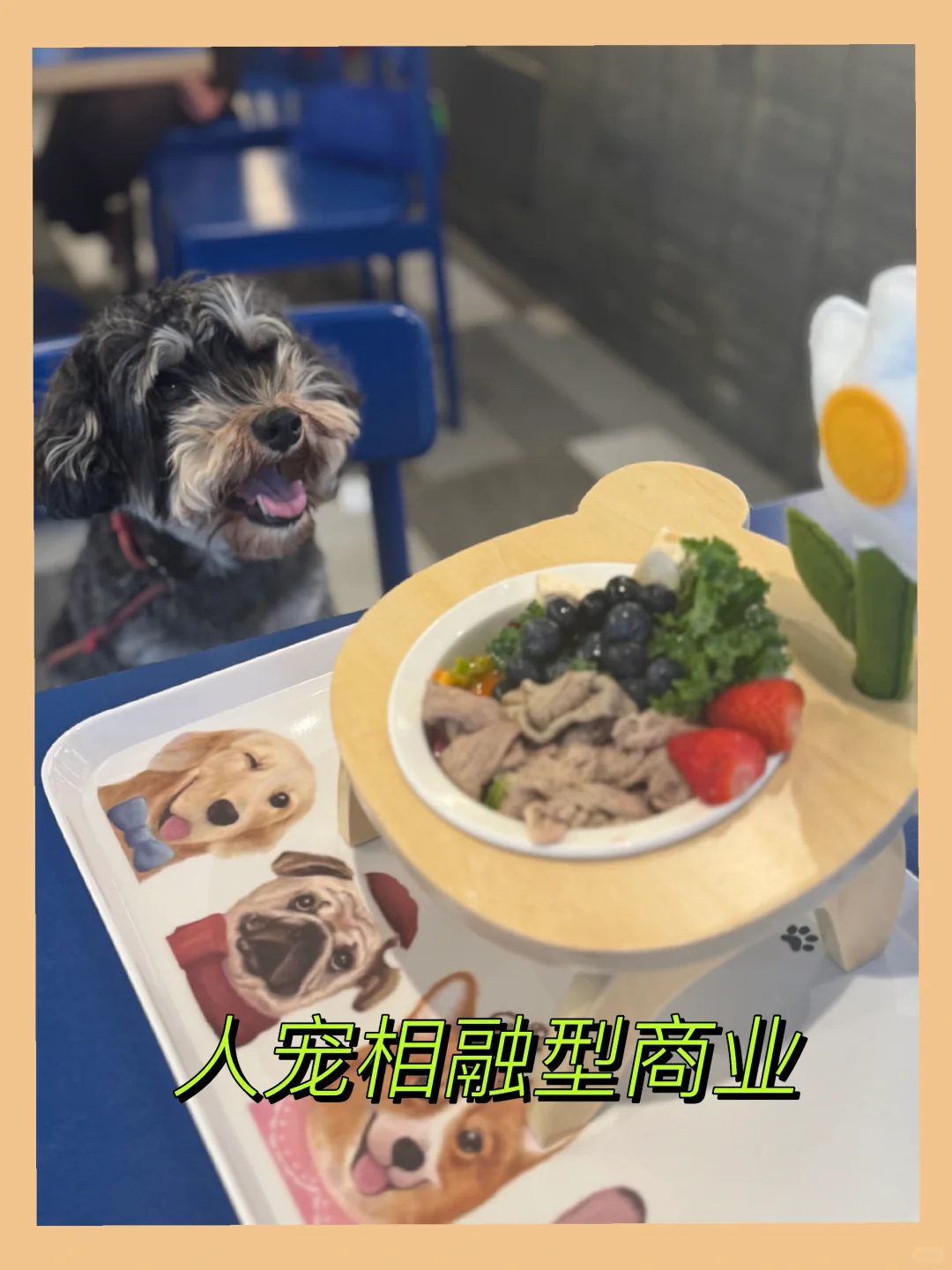 年轻人都在买单什么？2024五大消费场景观察