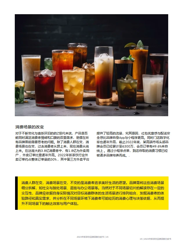 2024新茶饮消费增长洞察.