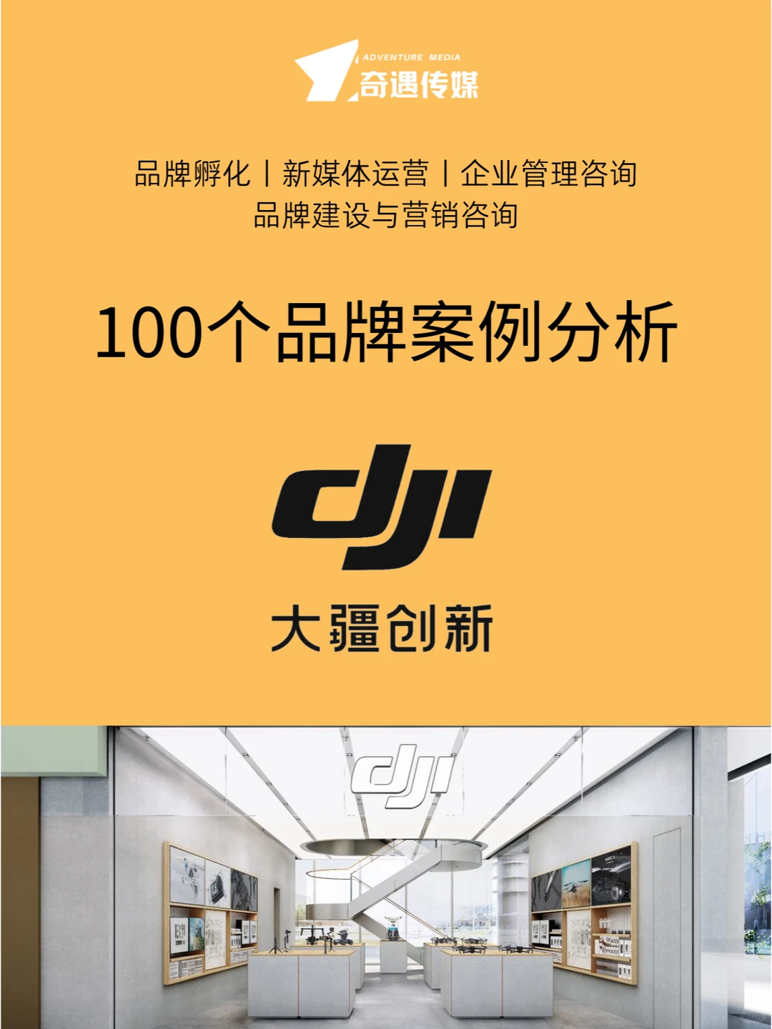 100个品牌案例分析｜大疆创新?️