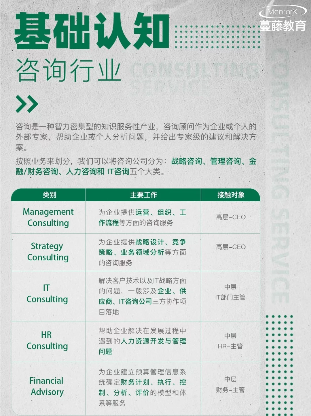 咨询行业求职全指引！蔓藤助力冲刺