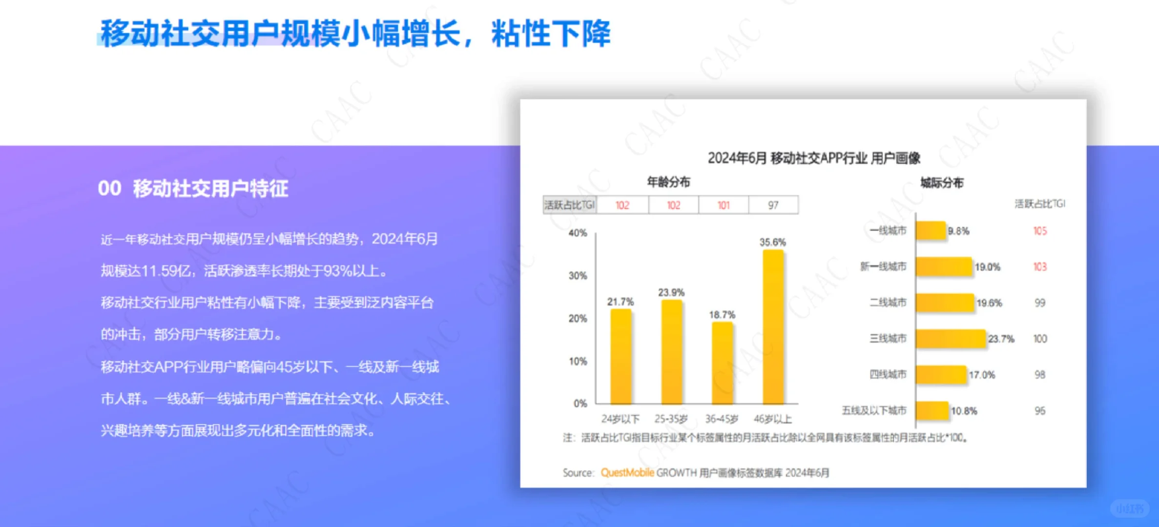 81页报告|2024年中国数字营销年度报告