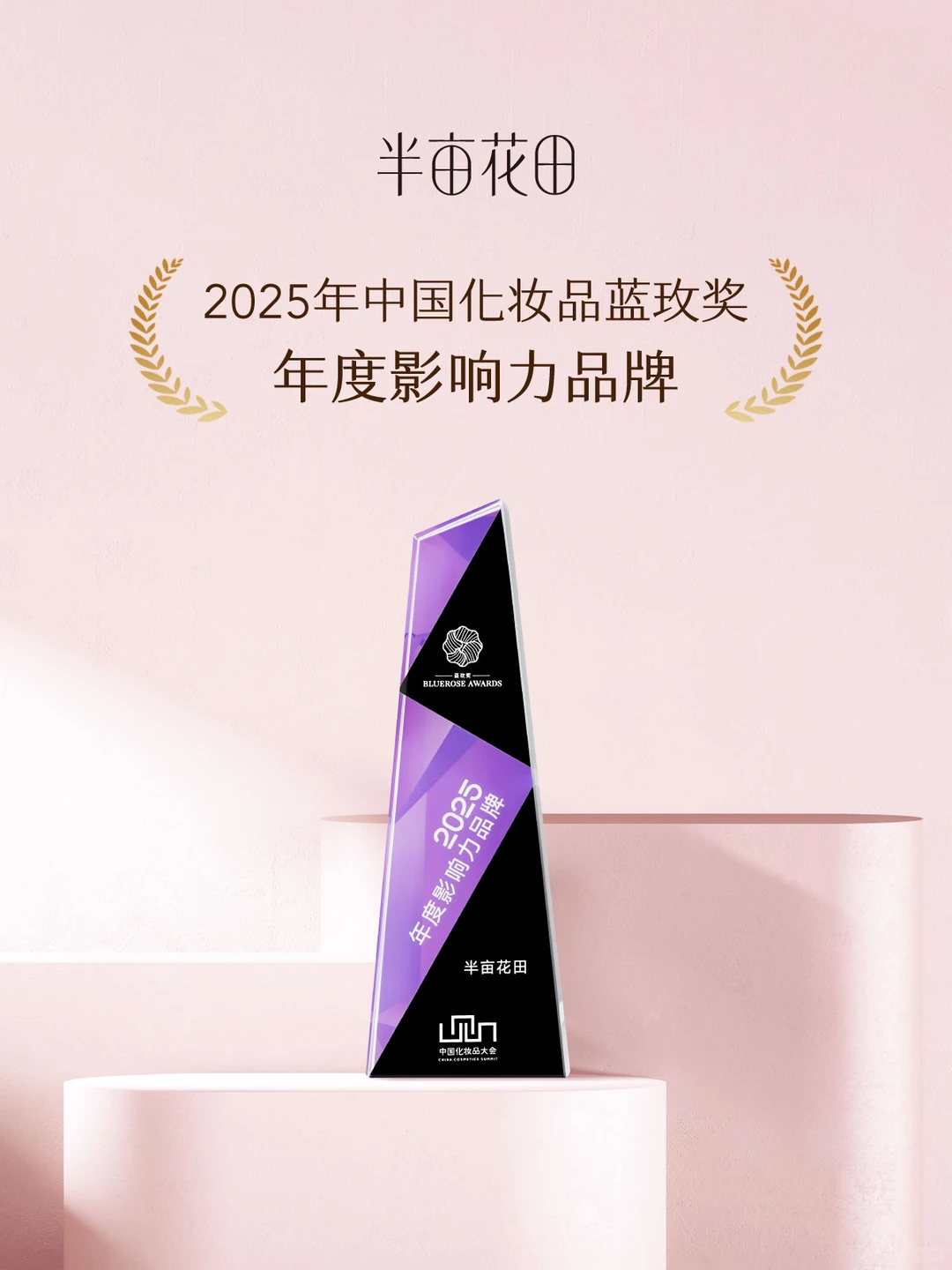 向下扎根，花才能向上盛开！