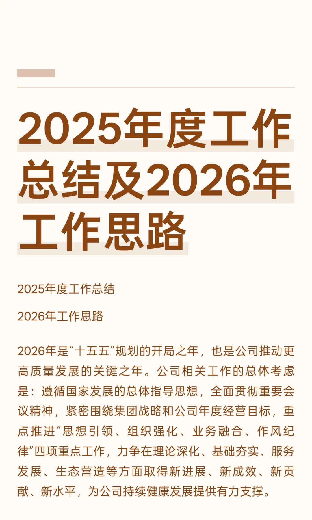 2025年度工作总结及2026年工作思路