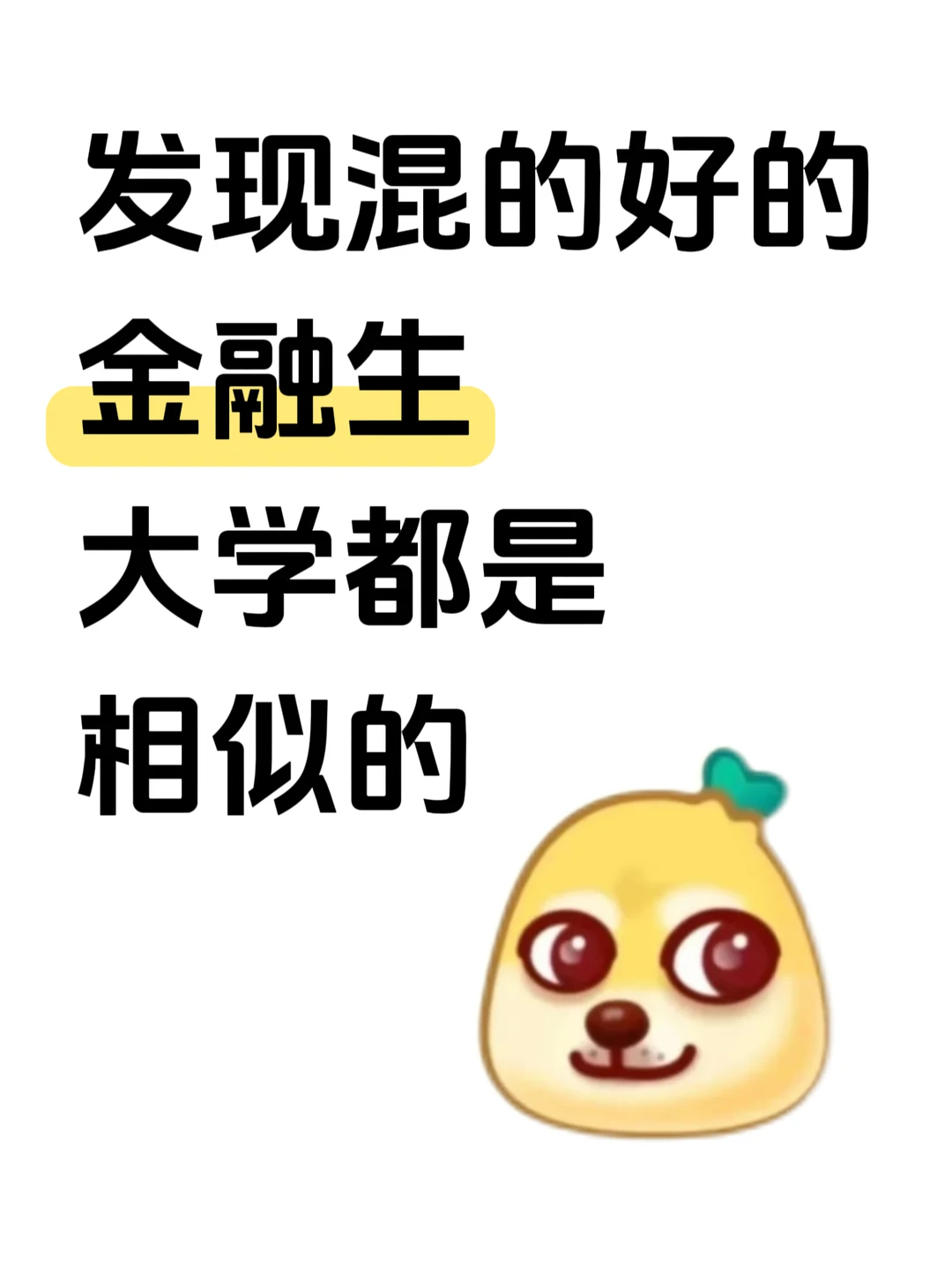 发现混的好的金融生，都是相似的……