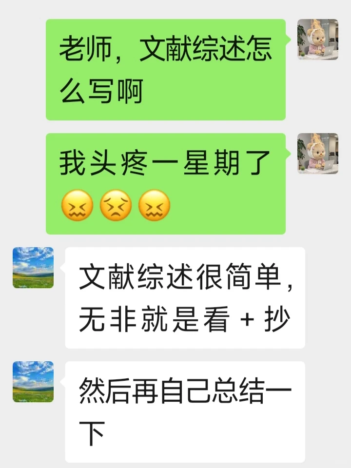 文献综述照着模板套就行⚠️