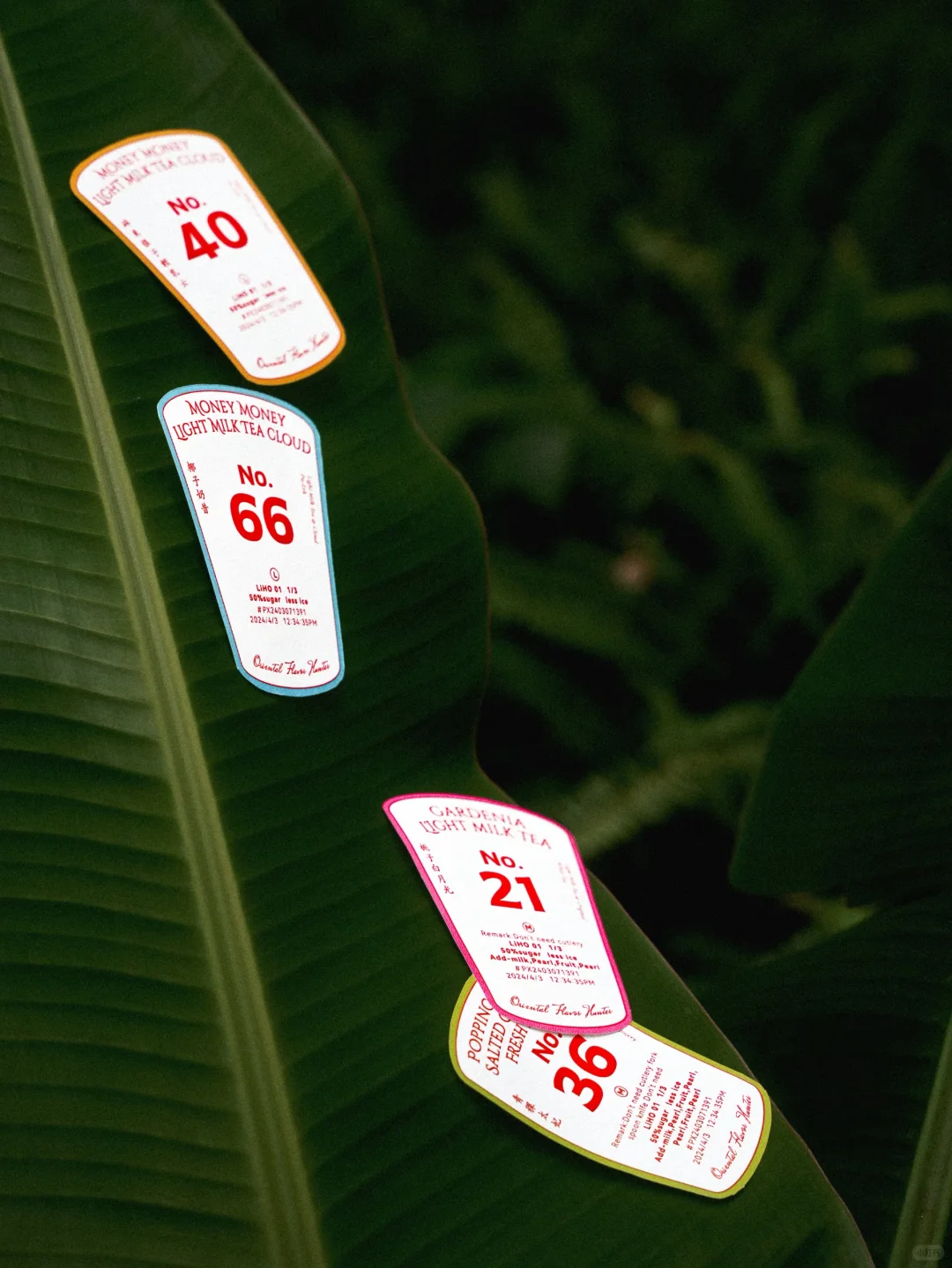 品牌重塑｜LiHO TEA