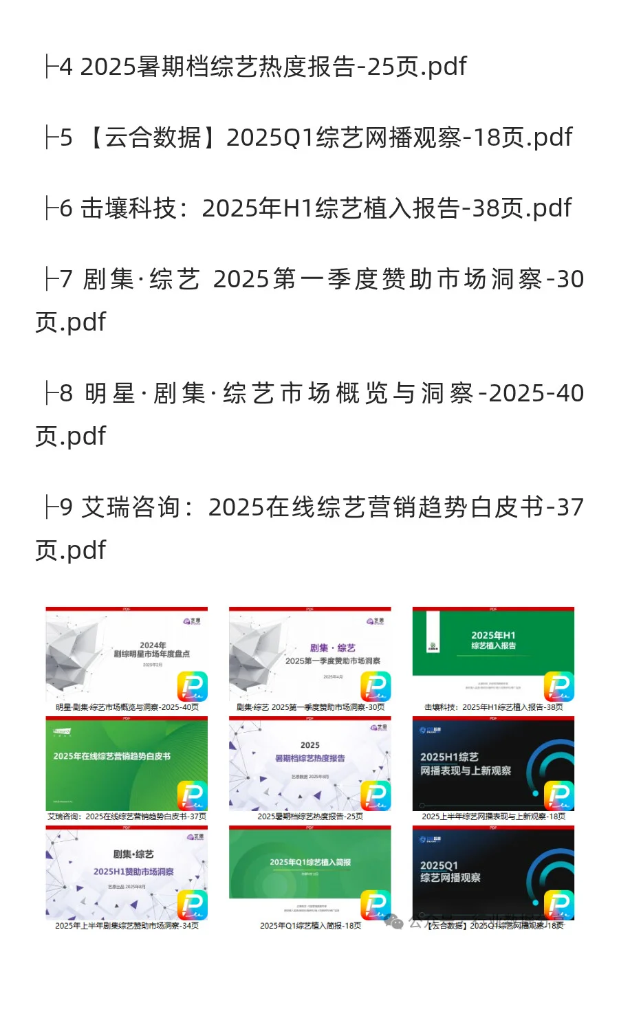 2025年综艺市场分析报告（9份）