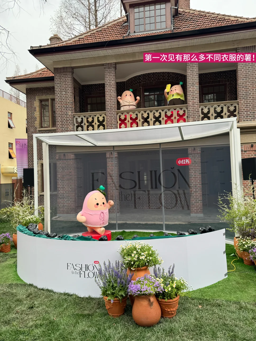 创业复盘01|“我就要做到行业的中心”