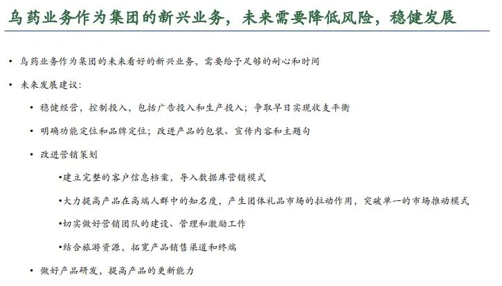 集团总部战略规划整体方案终稿